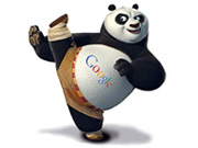 Google Panda six mois déja - 