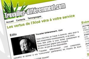 Capture du site Travailler Différemment